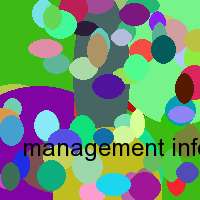 management informationssystem mis definition