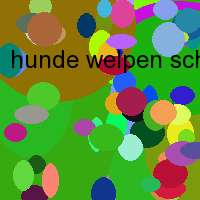 hunde welpen schule